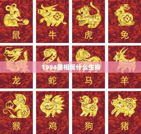 1994屬|1994年属什么生肖配对 1994年和什么属相最配